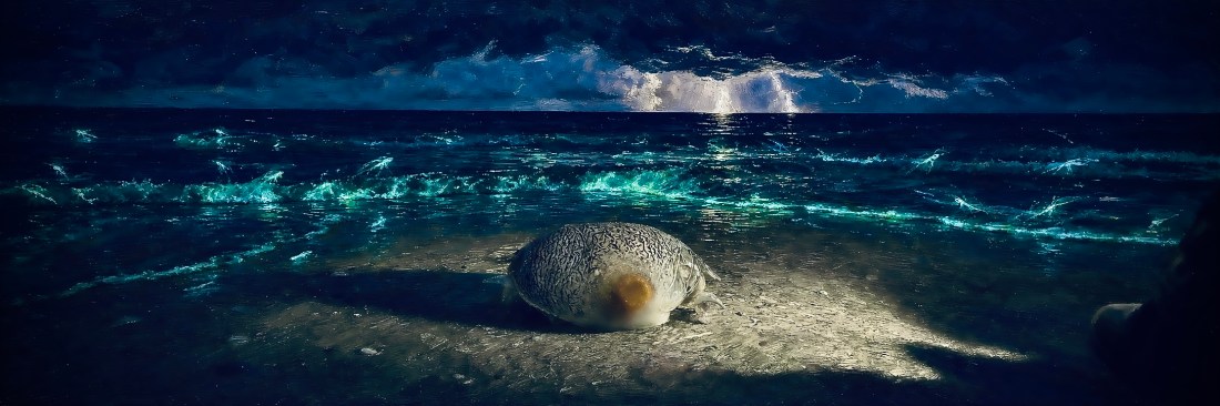 A lone domed, shell-like creature on dark sand at night beside glowing turquoise surf under a stormy sky