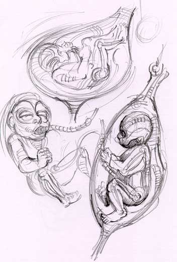 Pencil sketches of fetuses curled inside egg-shaped wombs