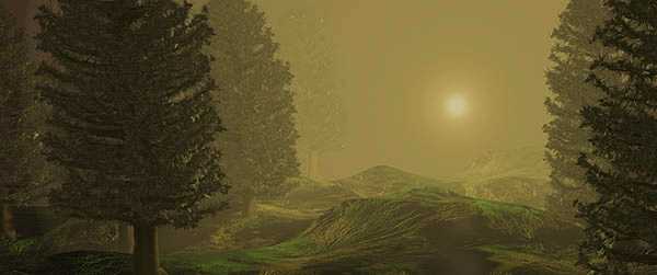 Murky green landscape of pine trees and hills under a hazy sun