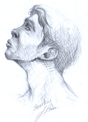 Pencil sketch of a young man's head in profile, gazing upward
